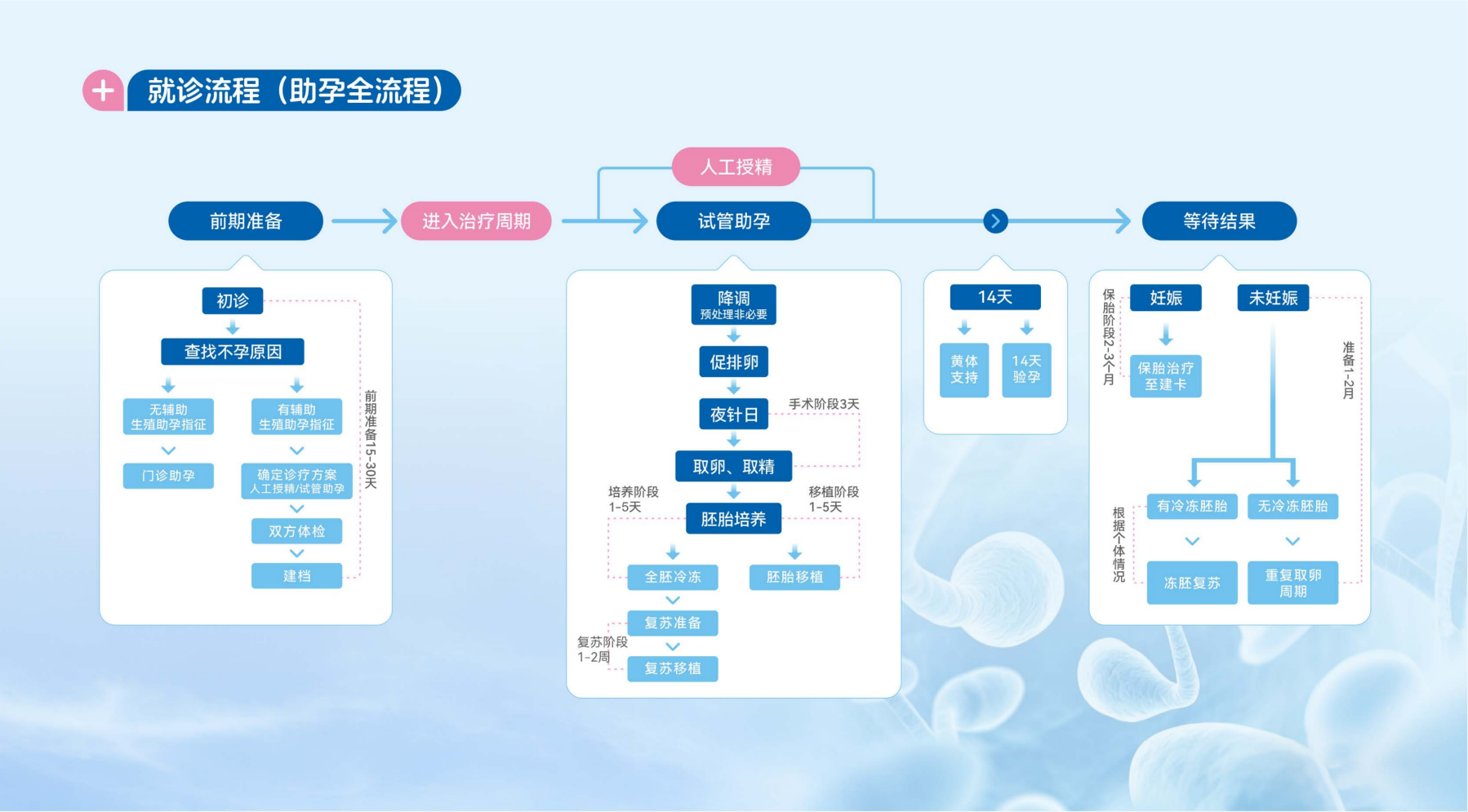 就诊流程(助孕全流程)